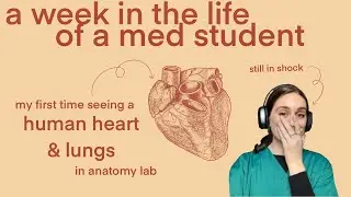 my first time seeing a human heart & lungs in anatomy lab 🩺🫀 (a week in the life of a med student)
