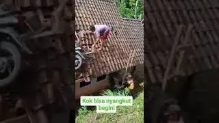 ngabuburit di atas genteng