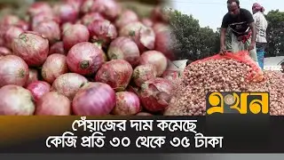 পেঁয়াজের দাম কমেছে কেজি প্রতি ৩০ থেকে ৩৫ টাকা | Onion Price | Ekhon TV