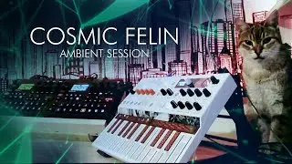 Cosmic feline - Ambient session