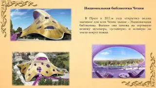 Самые необычные библиотеки мира