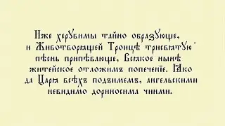 Великий вход и Херувимская песнь. Объяснение.