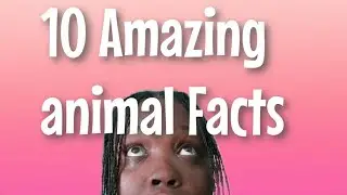 Wild Animal Secrets: 10 Mind-blowing Facts