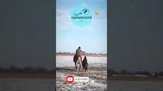 ЭКСКЛЮЗИВ 29. Прогулка на пони 