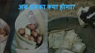 [Hindi] How will RBI dispose off all the old 500 &1000 notes?