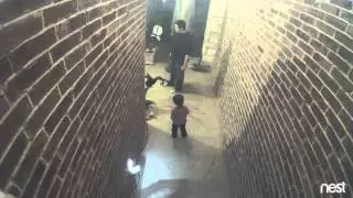 My New Clip
