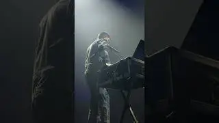 Noize MC - дома б был такой уют... | Live in Haarlem