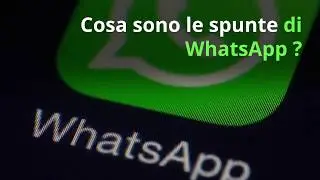 Cosa singificano lo spunte di WhatsApp