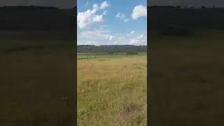 А.С.Пушкин. Мне вас не жаль, года весны моей