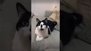 Our Ice Pop Bead Shop brings a rainbow of possibilities! 🌈