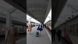 Доброе утро Питер