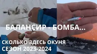 ОКУНЬ НА БАЛАНСИР... МОРЕ ПОКЛЕВОК...СЕЗОН 2023 - 2024 ОТКРЫТ...