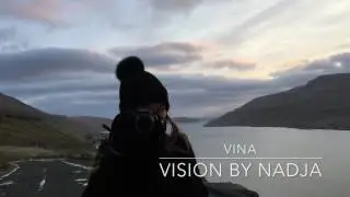 VINA VISION