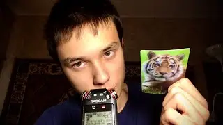 ЛУЧШЕЕ АСМР ДЛЯ СНА
