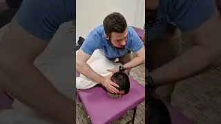 Rehabscience.ru #мануальнаятерапия #chiropractor #массажистобразование #мануальныйтерапевт