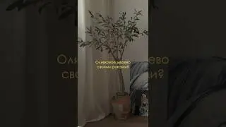 DIY Оливковое дерево