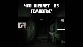 СТРАШНЫЙ ШЕПОТ ИЗ ТЕМНОТЫ ⌡ OUTLAST 2 