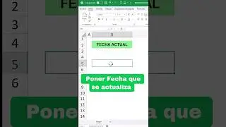 📆Set the Current Date in Excel that updates itself 