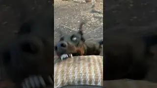 Вот кто нам замедлил ютуб ты только вслушайся