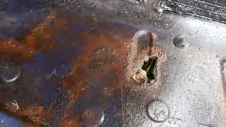 святогор 2141