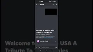 Wiggle USA Discord Server Link