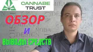 CANNABETRUST ОБЗОР и ВЫВOДЫ СРЕДСТВ