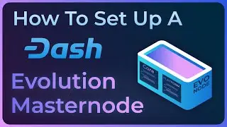How To Set Up An Evo Node - Detailed Guide