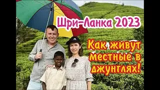 Шри-Ланка 2023. Как живут местные в джунглях!