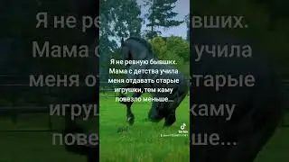 цитаты