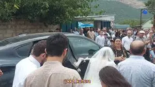 Свадьба сына Хайира Шахова!!!👍👍👍👏👏👏😇😇😇🔥🔥🔥