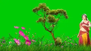 New 3D Cinematic Nature Beautiful girl Green Screen Effect #green_screen_video#kinemasterediting