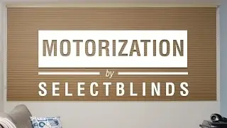 Motorization