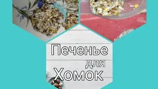 🍪Вкусняшки для хомок🍪!!🌾!/Чем угостить питомца?! 🤤🐁