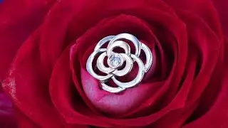 Кулон с бриллиантом💎 в форме розы от Diamond Gallery! Артикул