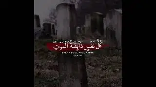 Every Living Shall Taste Death and Return to Allah - Quran WhatsApp Status