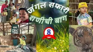 नक्षला बघुन वाघ सुध्दा थांबला😊| मनस्वीची मज्जाच | part 1 #vlog #family #picnic #shortsfeed #ytshort