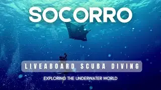 Socorro Liveaboard Scuba Diving- Nautilus 2024 Mantas, Hammerheads, Dolphins