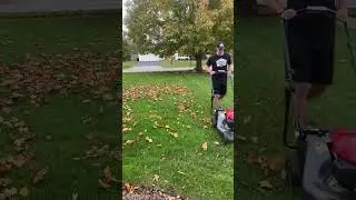 The BEST Organic Lawn FERTILIZER You Are THROWING AWAY
