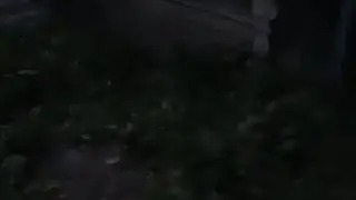 Live. Creepy Barn