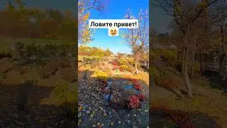 Ребята с нашего двора 😁