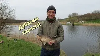 Дубасим карасей