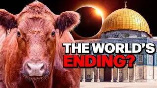 Solar Eclipse and Red Heifer Sacrifice... Signs of The END TIMES?
