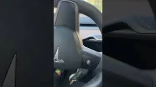 Tesla automatic parking #tesla