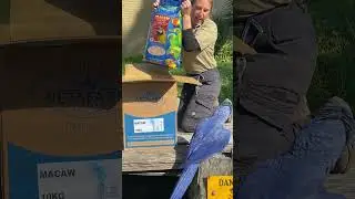 Special delivery for the Macaws of Zambi Wildlife Retreat!