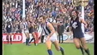 1976 Carlton Vs Nth Melbourne Princes park Last 7 Minutes