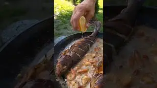 Ещё один летний день