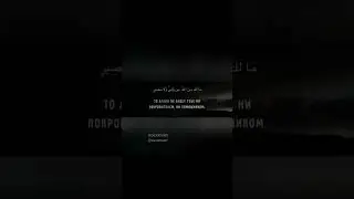 И никогда не будут довольны тобой ни иудеи, ни христиане, пока ты не последуешь их вере.репост Ахи