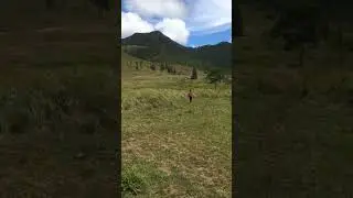 Mt. Kiamo⛰|2/11-12/23