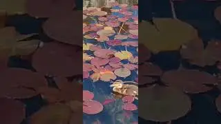 Пусть Ваше утро всегда будет добрым!!!