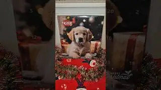 Адвент календарь Triksi Premium.